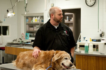 Burlington Emergency Vet | After Hours Animal Hospital | AHVEC